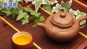 中茶牌黄印圆茶2006价格及识别年份方法：2001与2006版的对比