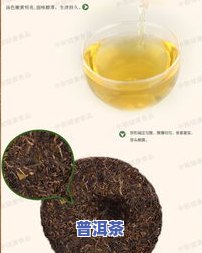 中茶牌黄印圆茶：如何识别年份与品级？