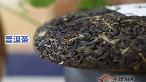 普洱茶可分为几种类别-普洱茶可分为几种类别的