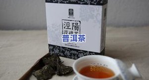 去油去脂的茶叶：种类与功效全解析