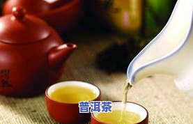 去油脂的茶叶有哪些-去油脂的茶叶有哪些品种