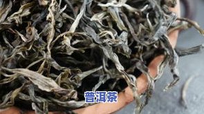 普洱茶不熟不喝可以吗？怎样正保证存？