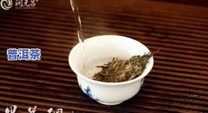 普洱茶不熟不喝可以吗-普洱茶不煮可以喝吗