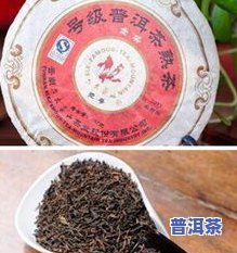 熟普洱茶的功效：全面解析其作用与禁忌