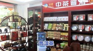 深圳福今普洱茶专卖店-深圳福今普洱茶专卖店地址