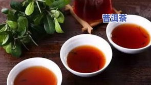 十几元的普洱茶：能喝吗？女性观点解析