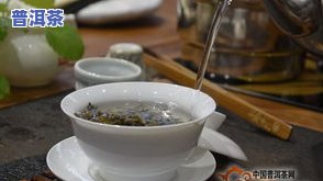 神农普洱茶：优质生茶，口感醇厚，健康饮品选择