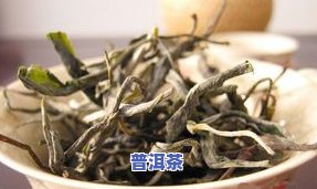 2021冰岛大树茶-冰岛大树茶价格