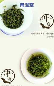 采一芽一叶的茶叶有什么茶，独享珍品：一芽一叶茶叶的种类与品尝体验