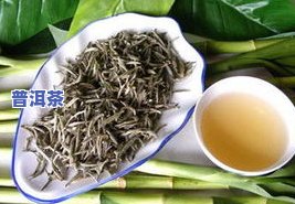 采一芽一叶的茶叶有什么茶，独享珍品：一芽一叶茶叶的种类与品尝体验