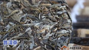 犇龙冰岛普洱茶，品尝独特风味：犇龙冰岛普洱茶的魅力探索