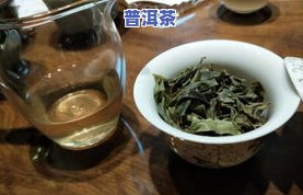 犇龙冰岛普洱茶，品尝独特风味：犇龙冰岛普洱茶的魅力探索