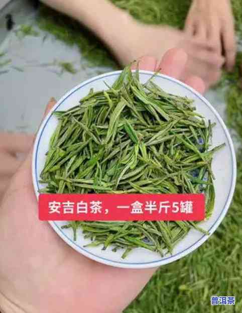 茶叶芽头就是更好的茶叶吗，茶叶芽头真的是更好的茶叶吗？探讨其优缺点与适宜饮用场合