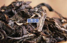 冰岛普洱茶长泡-冰岛普洱茶长泡还是短泡