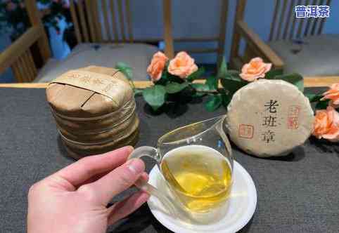 熟普洱茶用不用煮，熟普洱茶需要煮吗？