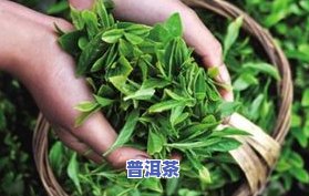 茶叶的保存方法冷冻还是冷藏，茶叶保存：冷冻好还是冷藏好？