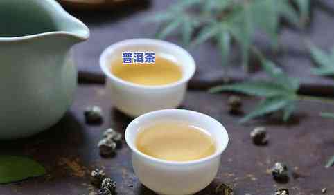 普洱茶短语，探索普洱茶的世界：了解其独特的短语和文化含义