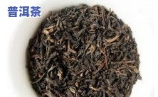 普洱茶提取物的作用：揭示其功效与作用