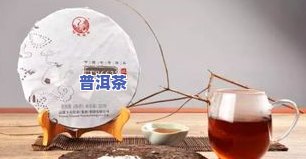 普洱茶提取-普洱茶提取物的作用