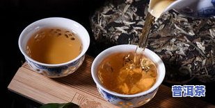 大理普洱茶多少钱一斤，普洱茶价格行情：揭秘大理地区普洱茶每斤售价