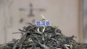 普洱茶化石是什么，揭秘普洱茶化石：一种独特的茶类品种及其特点