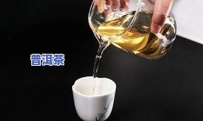 普洱茶的制作过程的讲解，探秘普洱茶的制作过程：从鲜叶到成品的全程解析