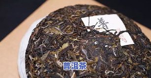 普洱茶感染-普洱茶有细菌吗