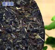 安顺知名普洱茶企业排名-安顺知名普洱茶企业排名榜