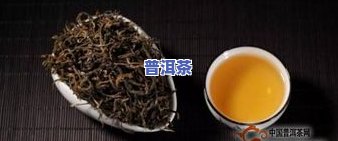 全面解析：喝普洱茶的缺点及其作用