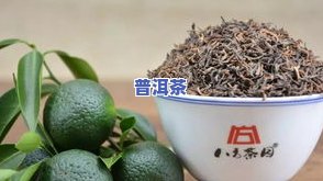 2008普洱茶老班章三爬熟茶：品味岁月陈酿的价值