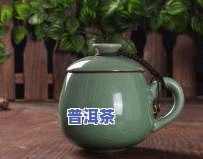 冰岛白茶特点，探秘冰岛白茶的特别魅力与特点