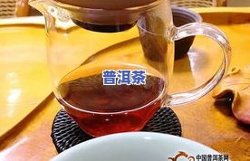 大红袍普洱茶，品味尊贵：探索大红袍普洱茶的特别魅力