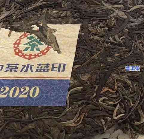 古董普洱茶的特点是啥呀图片，探索古董普洱茶的特别魅力：特点与图片解析