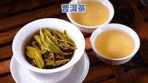 云南老班章茶价格，深度解析：云南老班章茶的价格走势与作用因素