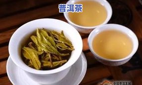 神石山普洱茶特点介绍：特别的口感与丰富的历史文化背景