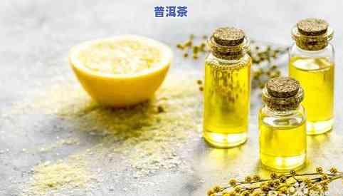 普洱茶加盟大全：最新排行榜与推荐