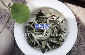 四川老树茶有多少种品种和香型？