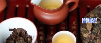 汝窑瓷器可以什么茶叶都泡吗，汝窑瓷器：适合冲泡何种茶叶？