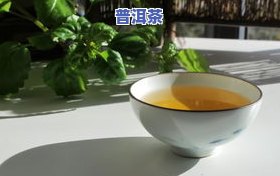 什么是普洱茶柱：形状、特点与图片解析