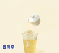 买普洱茶买什么样的好用？怎样选择优质的普洱茶？