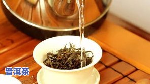 冰岛熟茶和生茶有什么区别，探究冰岛熟茶与生茶的差异，你熟悉它们的区别吗？