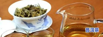 冰岛熟茶怎么喝，冰岛熟茶的正确冲泡与品尝方法