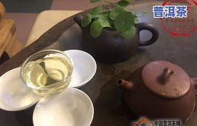 冰岛熟茶怎么喝，冰岛熟茶的正确冲泡与品尝方法