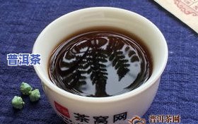 冰岛熟茶怎么喝，冰岛熟茶的正确冲泡与品尝方法