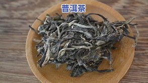 全面解析：古树普洱茶熟茶的功效、作用及禁忌