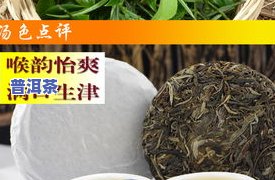 勐海县古茶源茶厂冰岛，【古茶源】正品 冰岛 古树普洱生茶 七子饼茶 勐海县纯料 散茶357g 熟茶礼盒装 礼品佳品茶叶 新茶 送人佳品