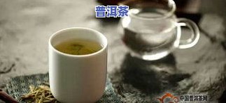 普洱茶尝试-普洱茶经验之谈