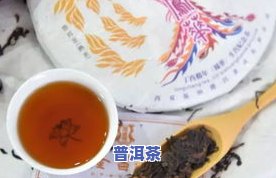 女生在吃饭时能否同时饮用普洱茶？