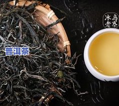 冰岛蓝印2014生茶357克：300年古树茶价格如何？