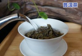 冰岛蓝印2014生茶357克：300年古树茶价格如何？